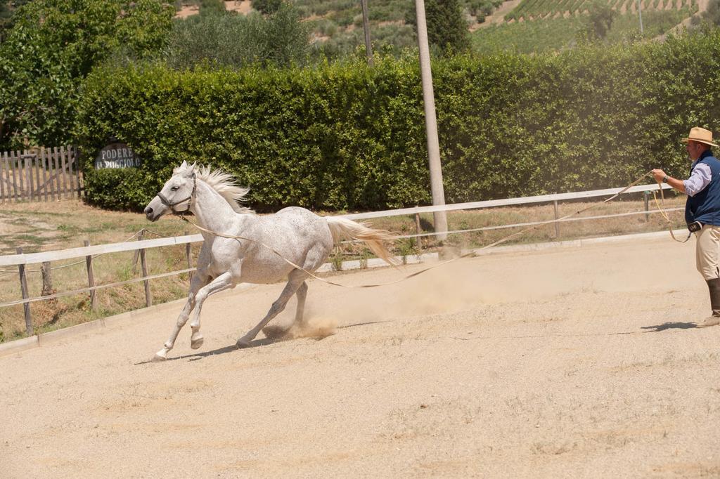 Podere Il Poggiolo Villa Rufina Eksteriør billede